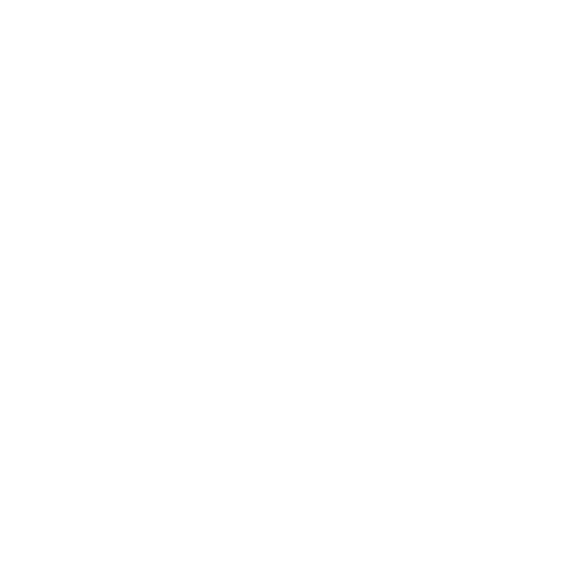 feature-item-2